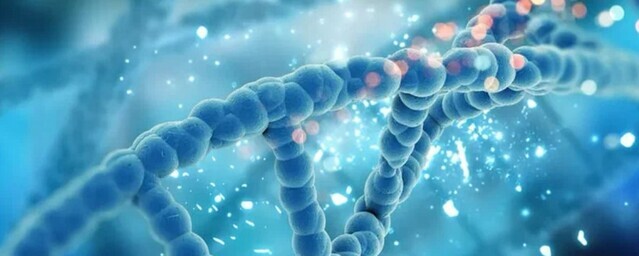 Генетики заявили, что нашли элементы древних вирусов в геноме человека