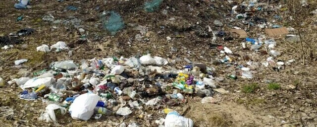 Кабмин направил 257 млн Кубани для ликвидации мусорного полигона под Геленджиком