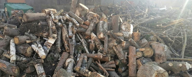 Жители Красногорска получили более 70 кубометров дров бесплатно