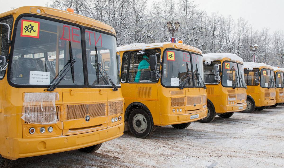 Школьники Новгородской области обучаются дистанционно из-за снегопада
