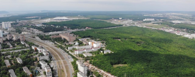 Владелец участков в лесопарке Самары намерен взыскать с администрации города 2,4 млрд рублей