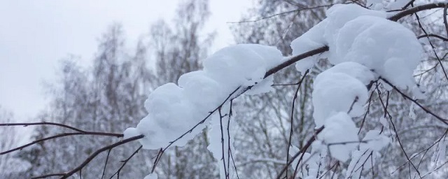 В Псковской области выпало более половины месячной нормы снега