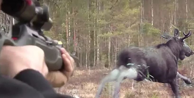 В Свердловской области мужчина застрелил товарища, приняв его за лося