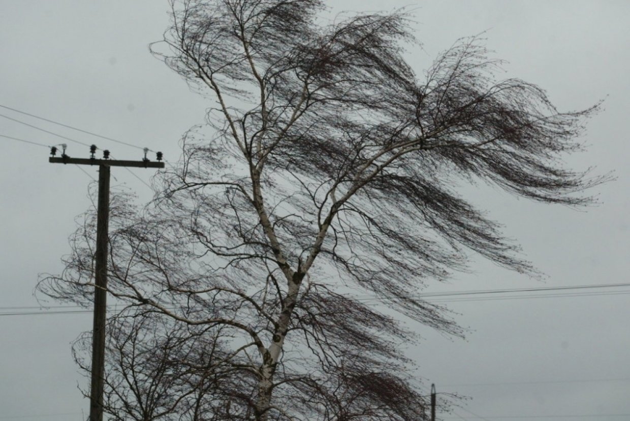 В Марий Эл 16 декабря ожидается штормовой ветер