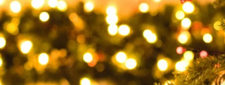 В столице Калмыкии 19 декабря зажгут огни на главной новогодней елке
