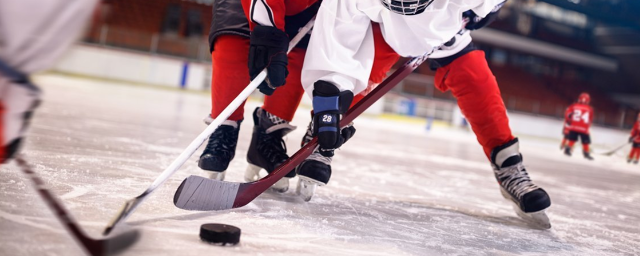 В Красногорске 3 декабря пройдет хоккейный турнир между студенческими командами