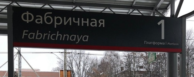 На станции Фабричная в Раменском г.о. погиб человек