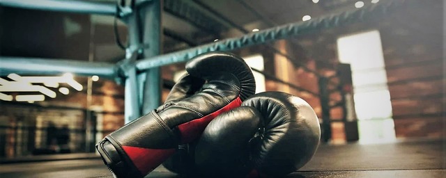 В городе Красный Луч в ЛНР прошли соревнования по боксу