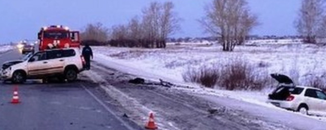 В результате ДТП на трассе в Омской области погибла пенсионерка