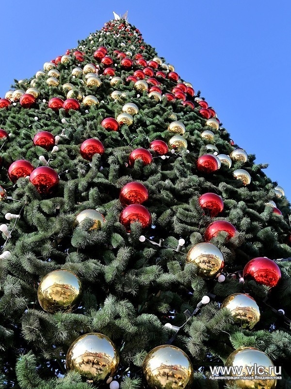 В Йошкар-Оле 24 декабря откроют главную елку на площади Ленина