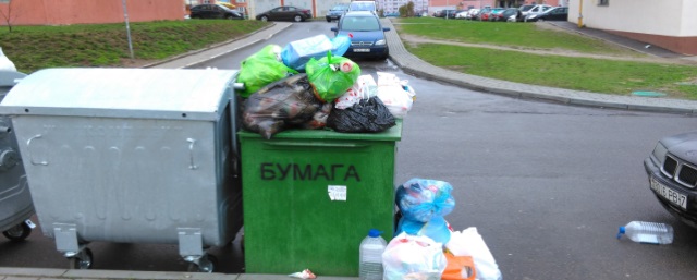 Жителям Набережных Челнов предложили сортировать бытовой мусор в два пакета
