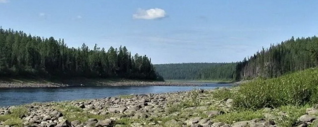 На севере Красноярского края появится новый заказник «Река Бахта»