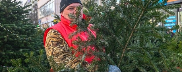 В Ростове до 22 января можно будет сдать новогодние елки