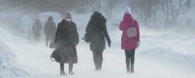 Жителей Омской области предупредили о морозах -36 градусов в новогоднюю ночь
