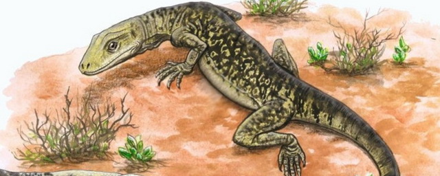 В Великобритании найдены останки древнейшей ящерицы на Земле