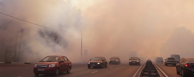 Врач-пульмонолог Попова объяснила опасность смога жителям Новосибирска