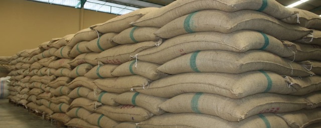 Алтай экспорт. 98% На экспорт.