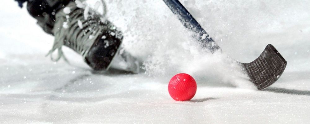 В Красногорске состоится детский турнир по хоккею