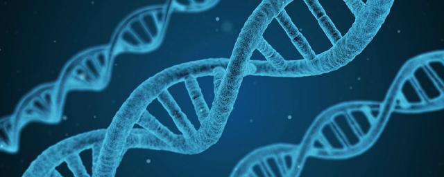 Ученые обнаружили три древних генома туберкулеза