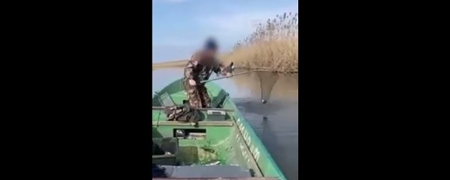 Астраханская полиция поймала браконьера из Челнов, черпавшего рыбу сачком из реки