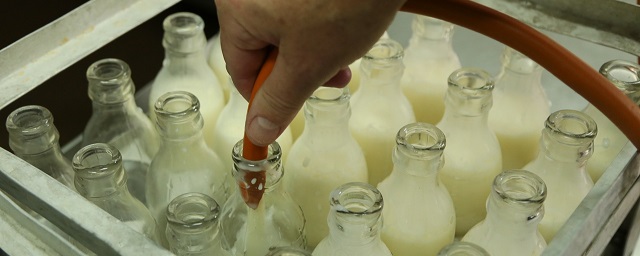 В Астрахани закрылась сеть магазинов «Молочная кухня»