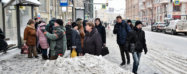 В Петербурге снова начался снегопад
