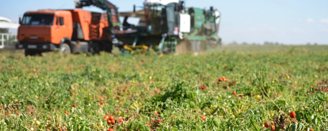 Астраханская область нарастит производство сельхозпродукции как минимум на 5%