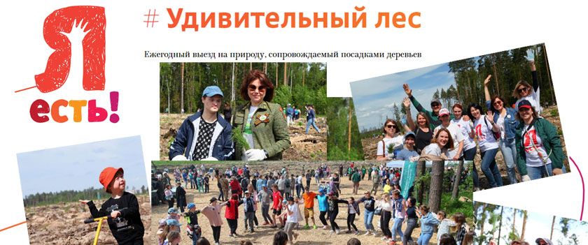 Жителей Красногорска пригласили на экоакцию «Удивительный лес»