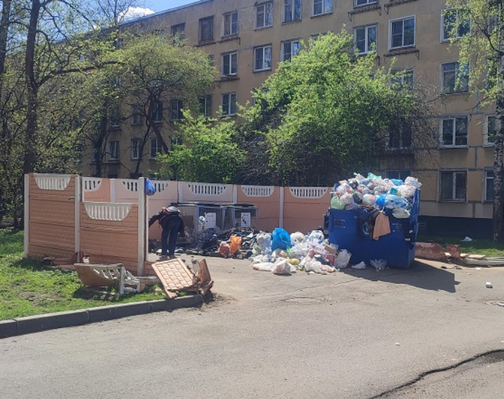 «Птицы таскают мусор»: петербуржцы ругают Смольный за антисанитарию на контейнерных площадках