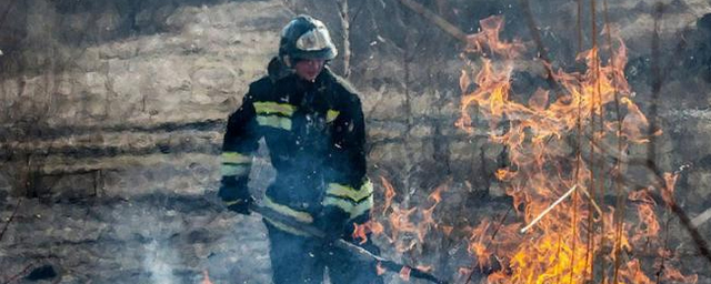 Юг Красноярского края охватили природные пожары