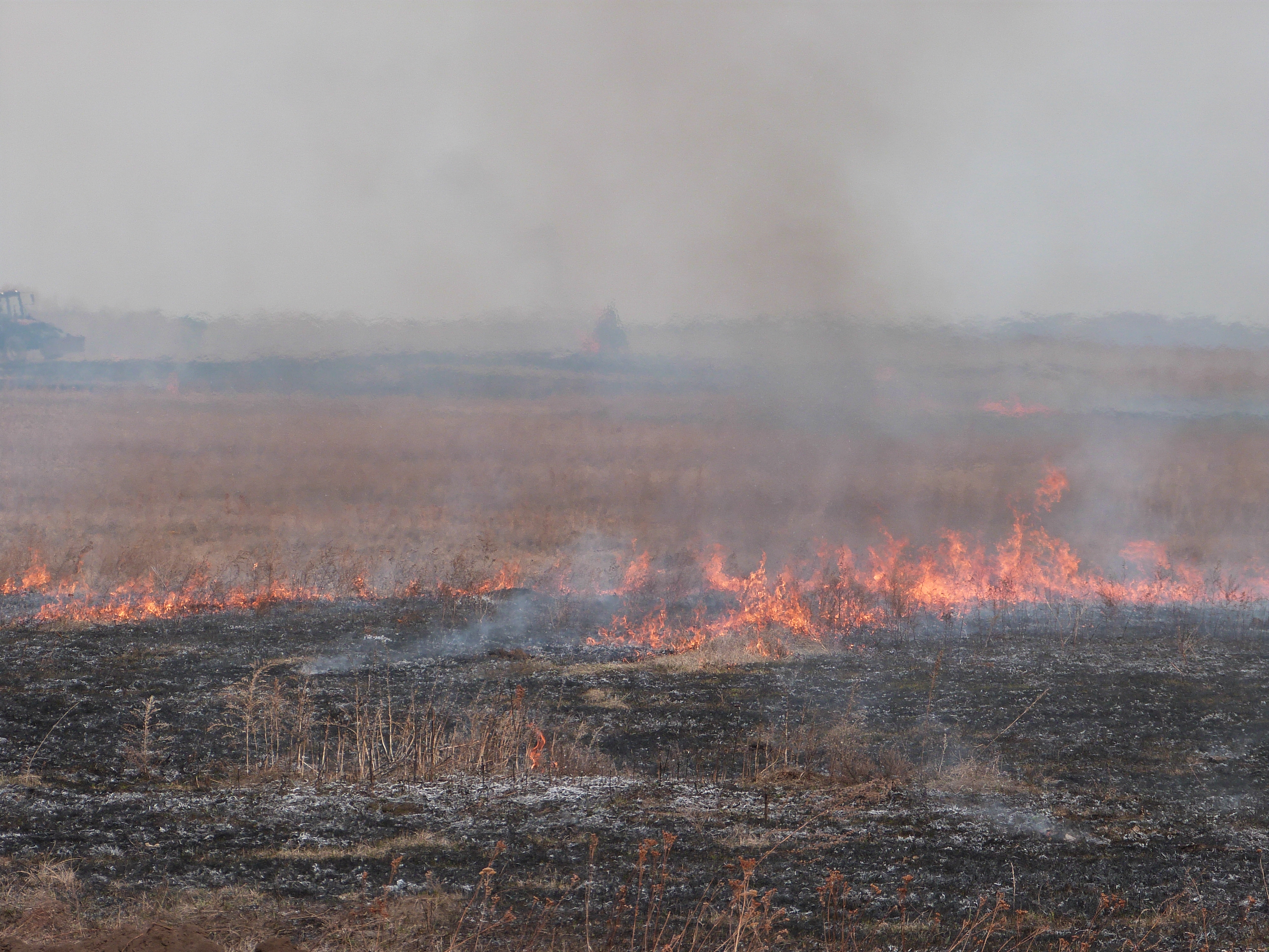 Власти Красноярского края назвали основную причину возникновения пожаров в регионе
