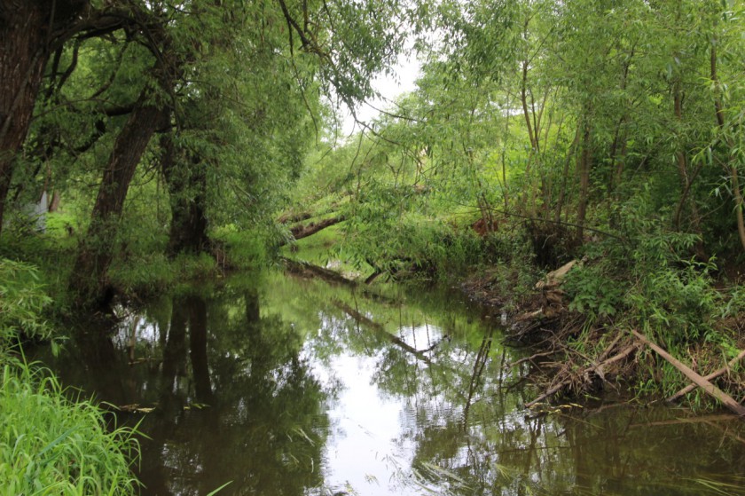 Минэкологии: Красногорскую компанию снова уличили в загрязнении реки
