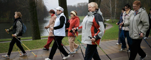 В Сестрорецком парке Клина 9 июня пенсионеры примут участие в марафоне скандинавской ходьбы