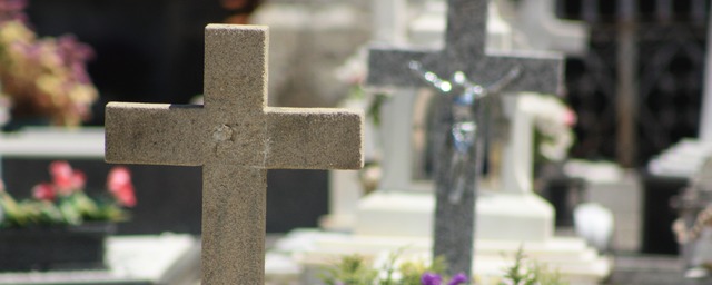В Ленинградской области построят кладбище на 23 760 могил