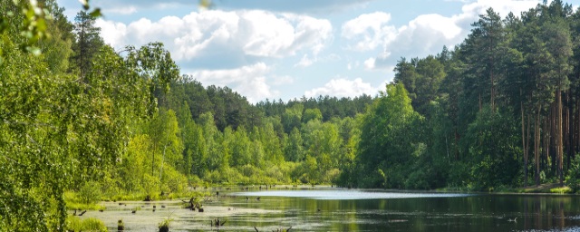 В Свердловской области создали экологический фонд по сохранению водных экосистем