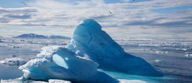 Глава Росприроднадзора Радионова: На очистку Арктики от мусора уйдёт 5-6 лет