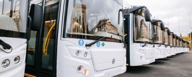 Липецк закупит 60 газомоторных автобусов за 1,3 миллиарда рублей