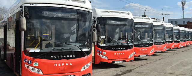 В Перми расписание трёх автобусов и двух трамваев изменят с 1 августа