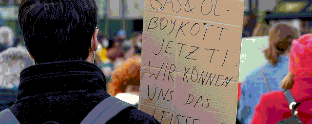 Немецкие политики заявили о росте протестных настроений из-за антироссийских санкций