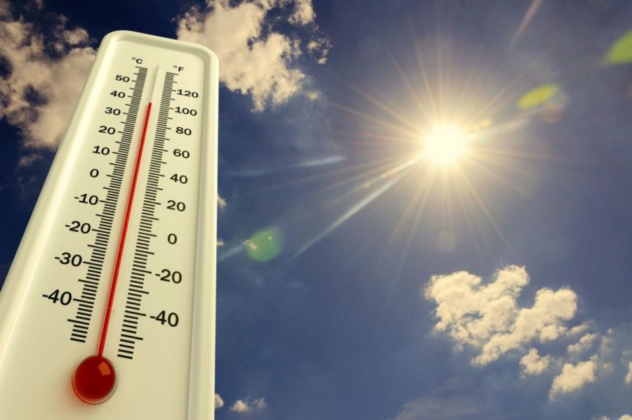 Аномальная жара до +30 градусов ожидается в Тюмени 10 июля