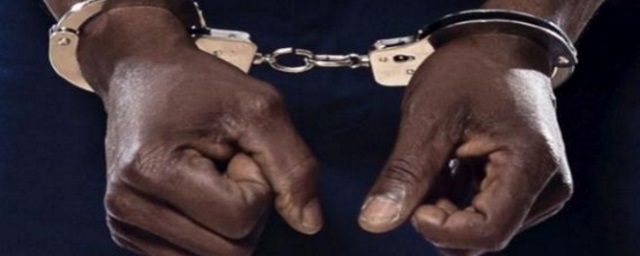 В Люберцах пресекли криминальную сходку с участием 28 нигерийцев