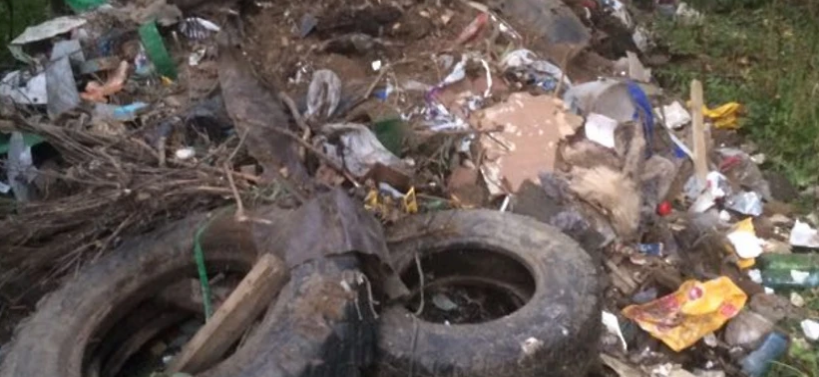 В Красногорске за неделю зафиксировали пять случаев незаконного сброса мусора