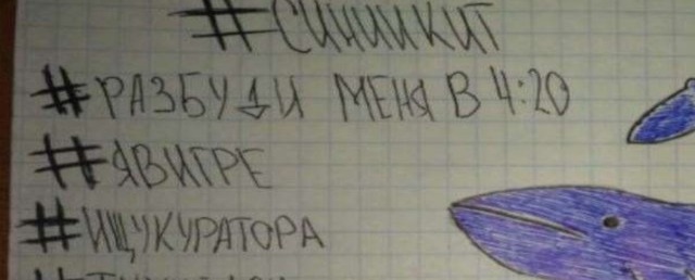 В Омске условно осудили несовершеннолетнего за склонение сверстников к суициду через соцсеть