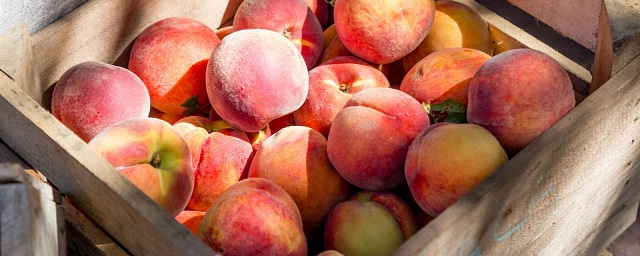 В Болгарии производители персиков готовятся к забастовкам из-за закупочных цен