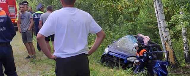 В Челябинской области упавшая береза перегородила дорогу автомобилю прямо во время движения