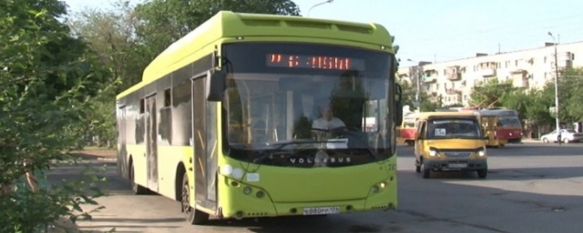 В Волгоградской области арестовали имущество производителей автобусов Volgabus за долги в 52,5 млн рублей