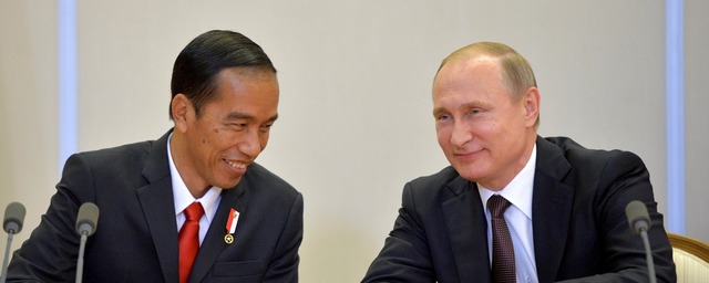 Владимир Путин и президент Индонезии обсудили вопросы продовольственной безопасности