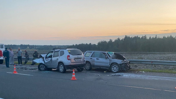 Водитель Subaru погиб в лобовом ДТП в Ленобласти