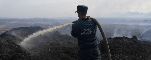 Крупный торфяной пожар ликвидировали во Владимирской области