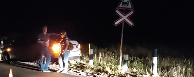 В Нижегородской области водитель иномарки врезался в поезд на переезде
